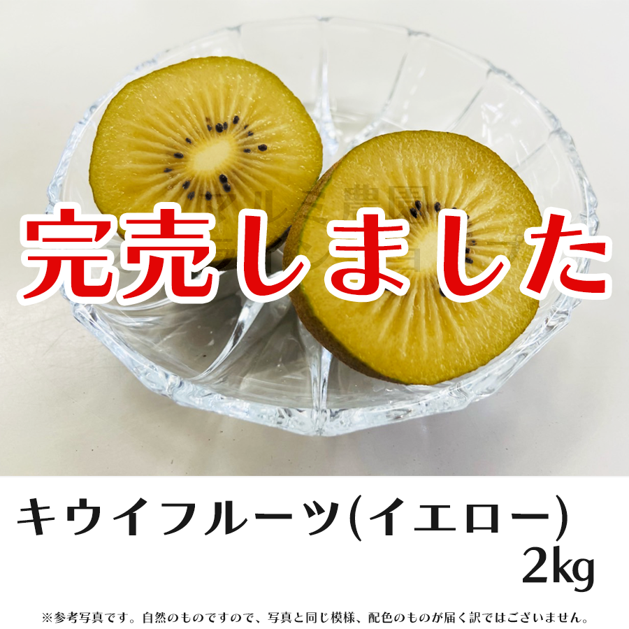 nonno様・お得意様ご予約分　Green&yellowキュウイフルーツ20キロ nonno様・お得意様ご予約分 Green&yellowキュウイフルーツ20キロ